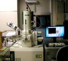 走査型電子顕微鏡