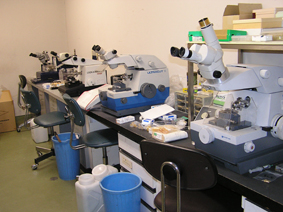 超薄切片作製室