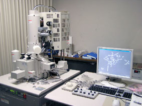 走査型電子顕微鏡