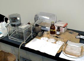 半自動電子染色装置